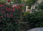 İcarəyə verilir 8 otaqlı 700 m2 bağ evi Mərdəkan