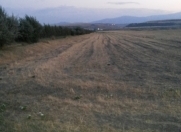 Satılır 857 sot torpaq Şabran