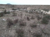 Satılır 5 sot torpaq Türkan