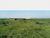 Satılır 178 sot torpaq Xaçmaz