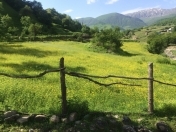 Satılır 19 sot torpaq Qusar