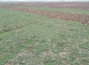 Satılır 34 sot torpaq Xətai r.