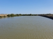 Satılır 5 otaqlı 260 m2 obyekt Neftçala