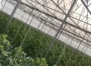 Satılır 350 sot torpaq Qala