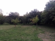 Satılır 69 sot torpaq Qəbələ