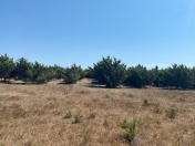 Satılır 400 sot torpaq Şüvəlan