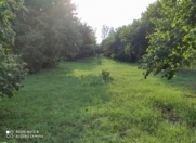 Satılır 26 sot torpaq Oğuz