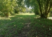 Satılır 42 sot torpaq Qax