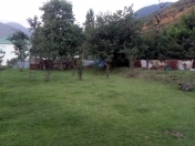 Satılır 6 sot torpaq Qəbələ