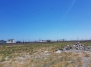 Satılır 227 sot torpaq Sumqayıt