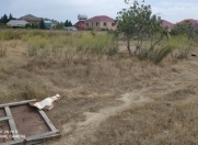 Satılır 10 sot torpaq Buzovna