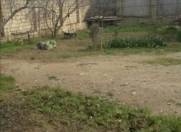 Satılır 12 sot torpaq Qala