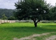 Satılır 24 sot torpaq İsmayıllı