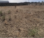 Satılır 7 sot torpaq Şəmkir