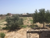 Satılır 36 sot torpaq Türkan