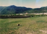 Satılır 36 sot torpaq Şamaxı