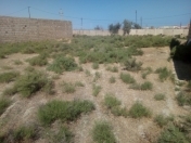 Satılır 3 sot torpaq Sumqayıt