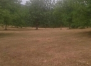 Satılır 344 sot torpaq Quba