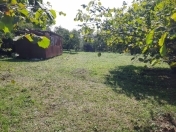 Satılır 38 sot torpaq Zaqatala