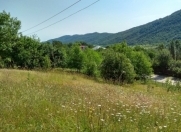 Satılır 12 sot torpaq Quba