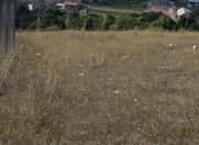 Satılır 8 sot torpaq Şamaxı