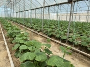 Satılır 3 otaqlı 13500 m2 obyekt Maştağa