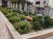 Satılır 2 otaqlı 56 m2 yeni tikili Yasamal bazarı