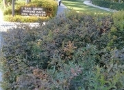 Satılır 6 sot torpaq Azadlıq prospekti m.