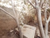 Satılır 1.5 sot torpaq Xırdalan