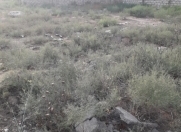 Satılır 2 sot torpaq Buzovna