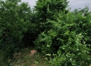 Satılır 8 sot torpaq Naxçıvan