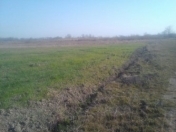 Satılır 4000 sot torpaq İsmayıllı