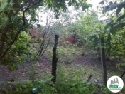 Satılır 6 sot torpaq Xaçmaz