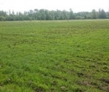 Satılır 5 sot torpaq Xaçmaz