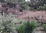 Satılır 6 sot torpaq Heydər Məscidi