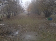 Satılır 50 sot torpaq Qəbələ