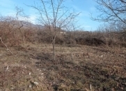 Satılır 17 sot torpaq İsmayıllı