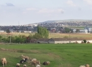 Satılır 400 sot torpaq Qobustan