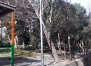 Satılır 2 otaqlı 36 m2 köhnə tikili 5 mkr