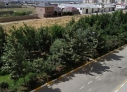 Satılır 1 otaqlı 53 m2 yeni tikili Məhəmmədli