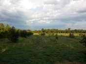 Satılır 1.5 sot torpaq Zaqatala