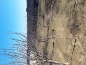 Satılır 1 otaqlı 12 m2 bağ evi Mərdəkan