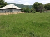 Satılır 6 sot torpaq Qəbələ