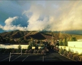 Satılır 8 sot torpaq Zaqatala