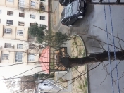 Satılır 2 otaqlı 37 m2 köhnə tikili Neftçilər m.