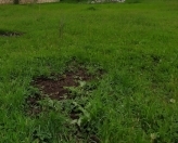 Satılır 16 sot torpaq Xaçmaz