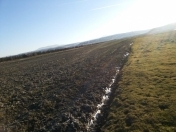 Satılır 857 sot torpaq Şabran