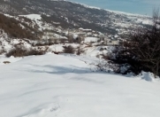 Satılır 20 sot torpaq Şamaxı