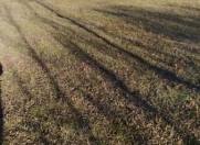 Satılır 10 sot torpaq Qusar