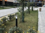 Satılır 3 otaqlı 115.5 m2 yeni tikili Sumqayıt